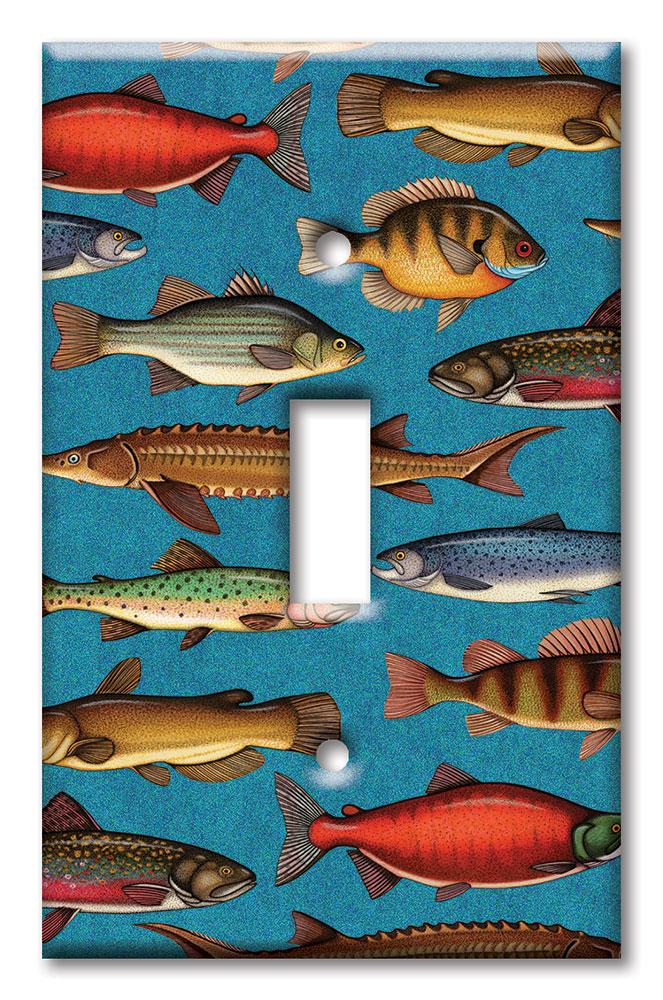 Art Plates - Decorative OVERSIZED Wall Plate - Outlet Cover - Freshwater Fish - Image by Dan Morris