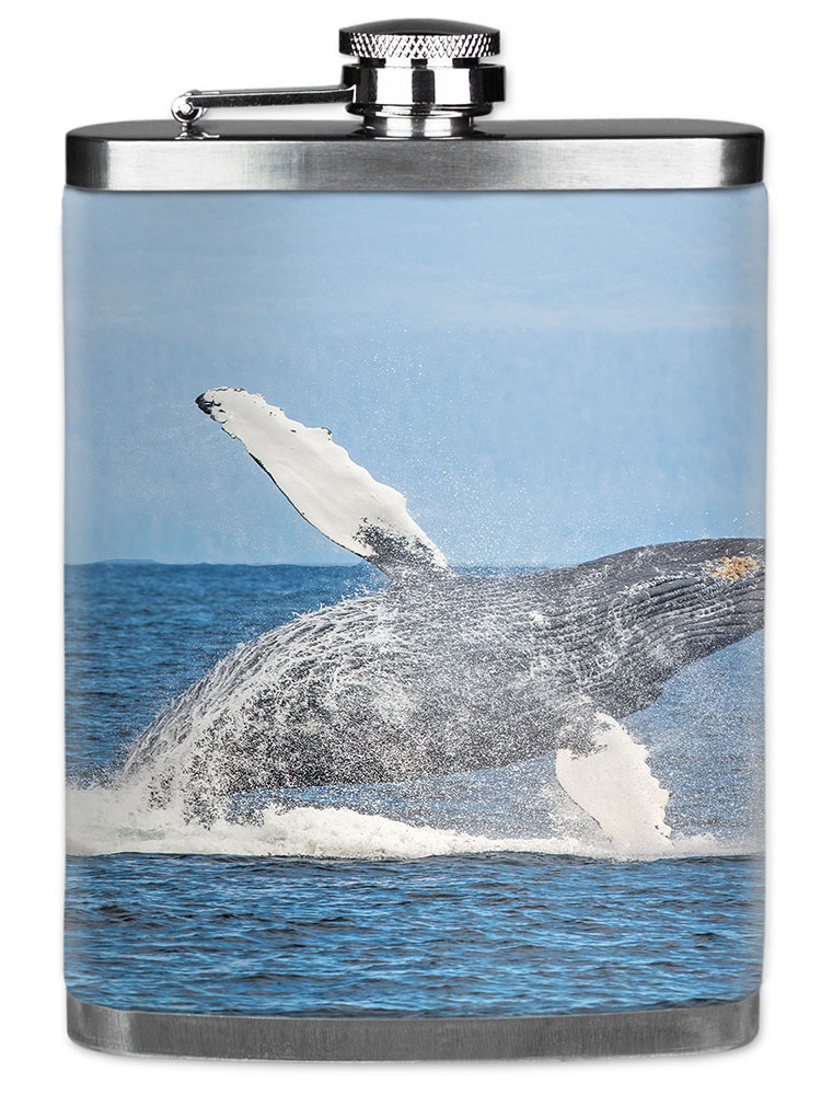 Humpback Whale - #8600