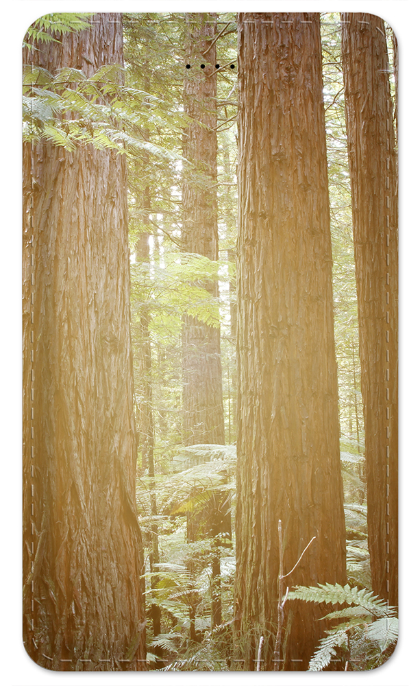 The Redwoods - #8638