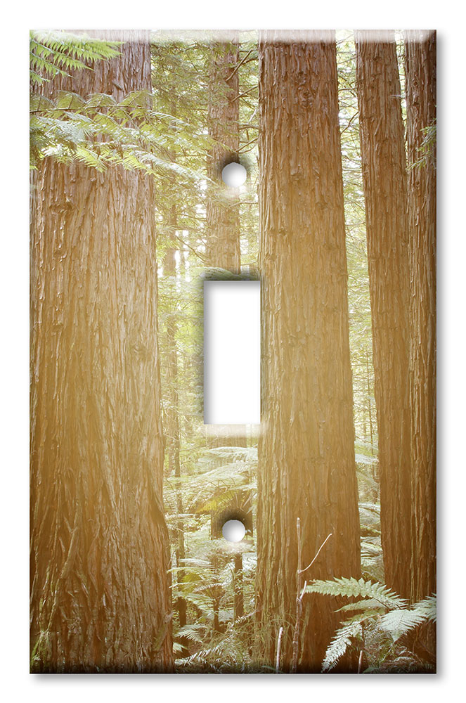 Art Plates - Decorative OVERSIZED Switch Plate - Outlet Cover - The Redwoods