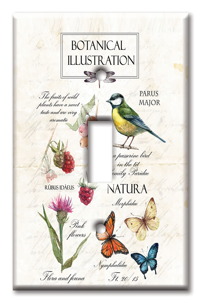 Art Plates - Decorative OVERSIZED Wall Plates & Outlet Covers - Botanical Illustration