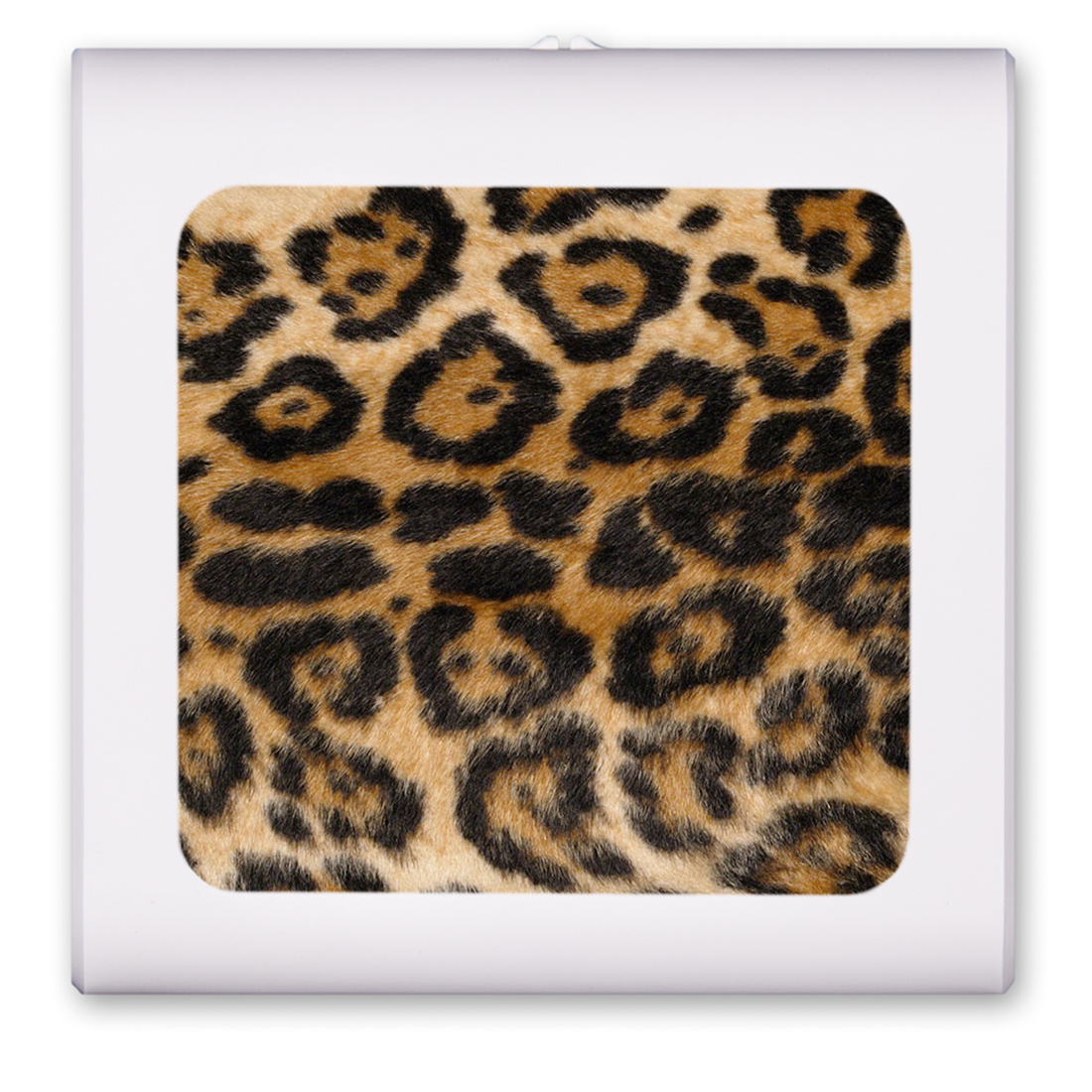 Spotted Leopard - #871