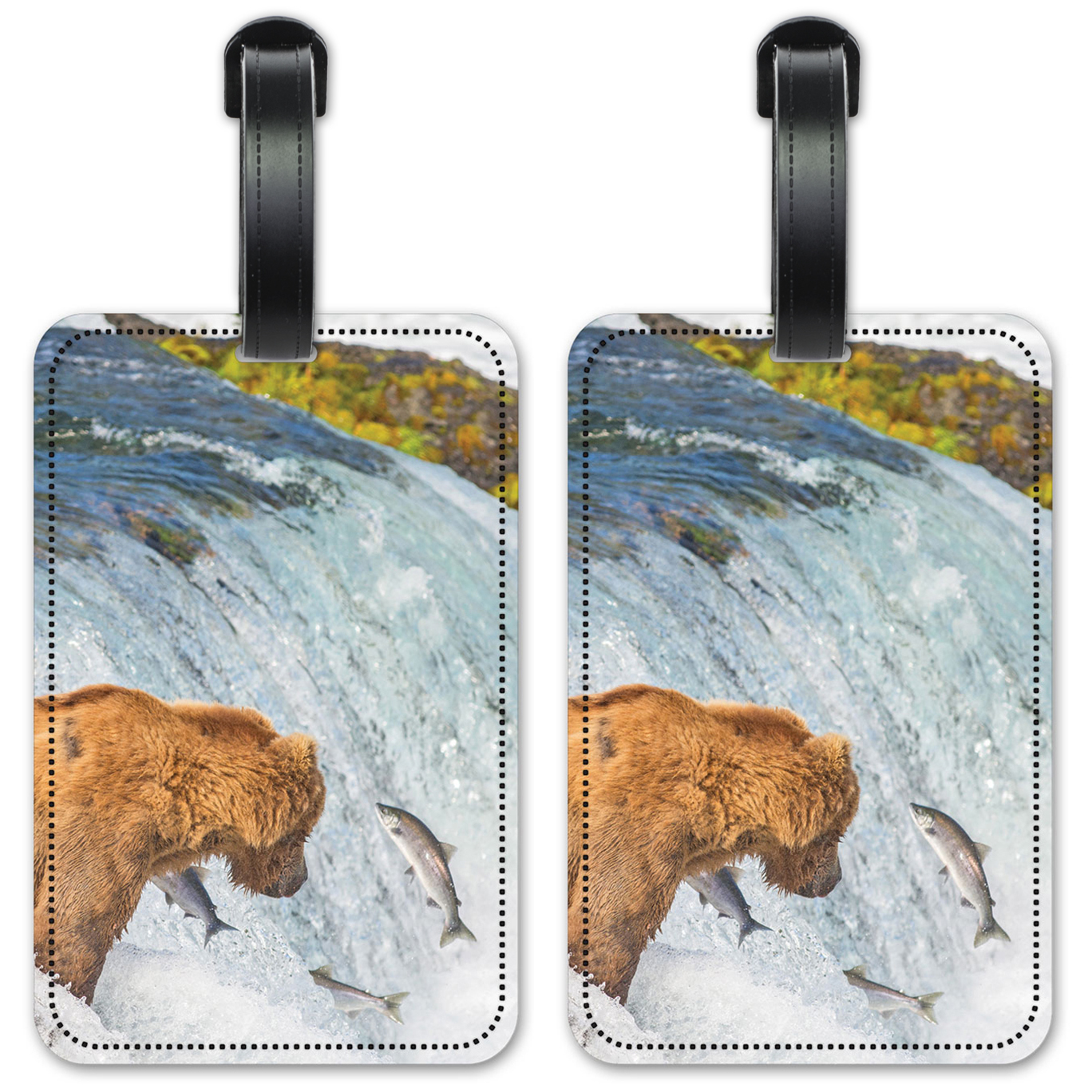 Bear Fishing - #8713