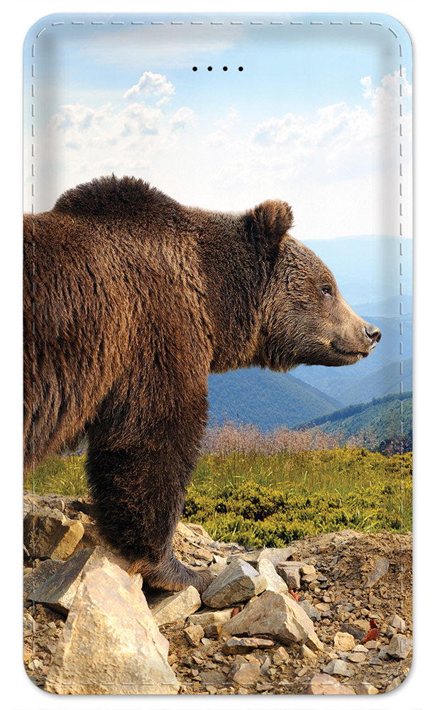 Brown Bear - #8715