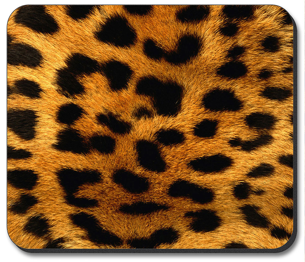 Orange Leopard - #872