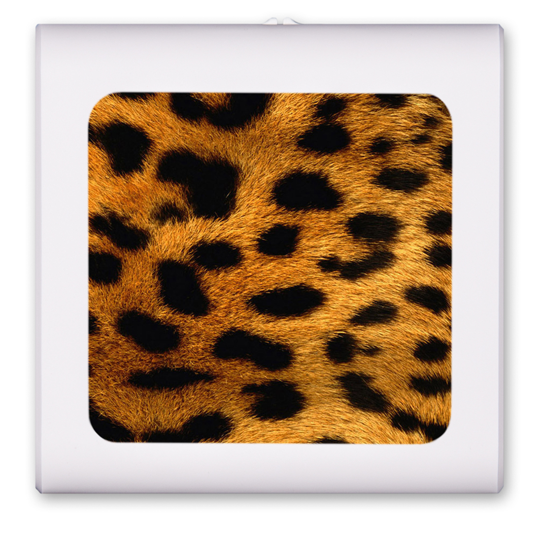 Orange Leopard - #872