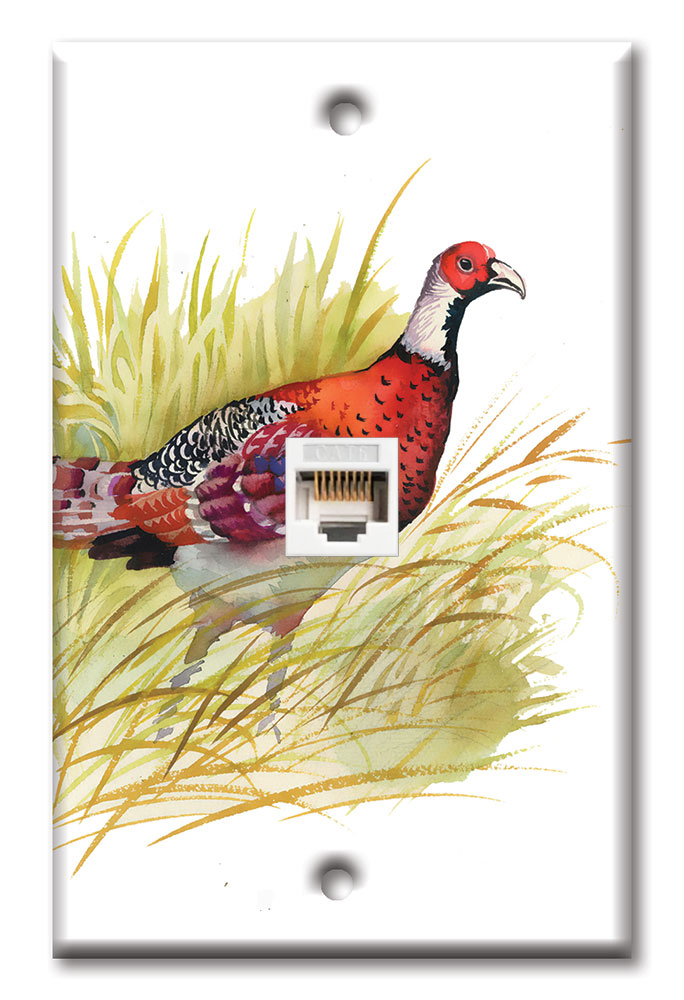 Pheasant - #8721