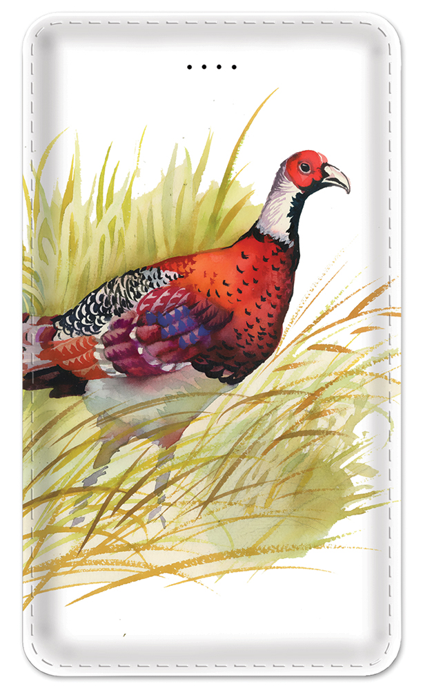 Pheasant - #8721