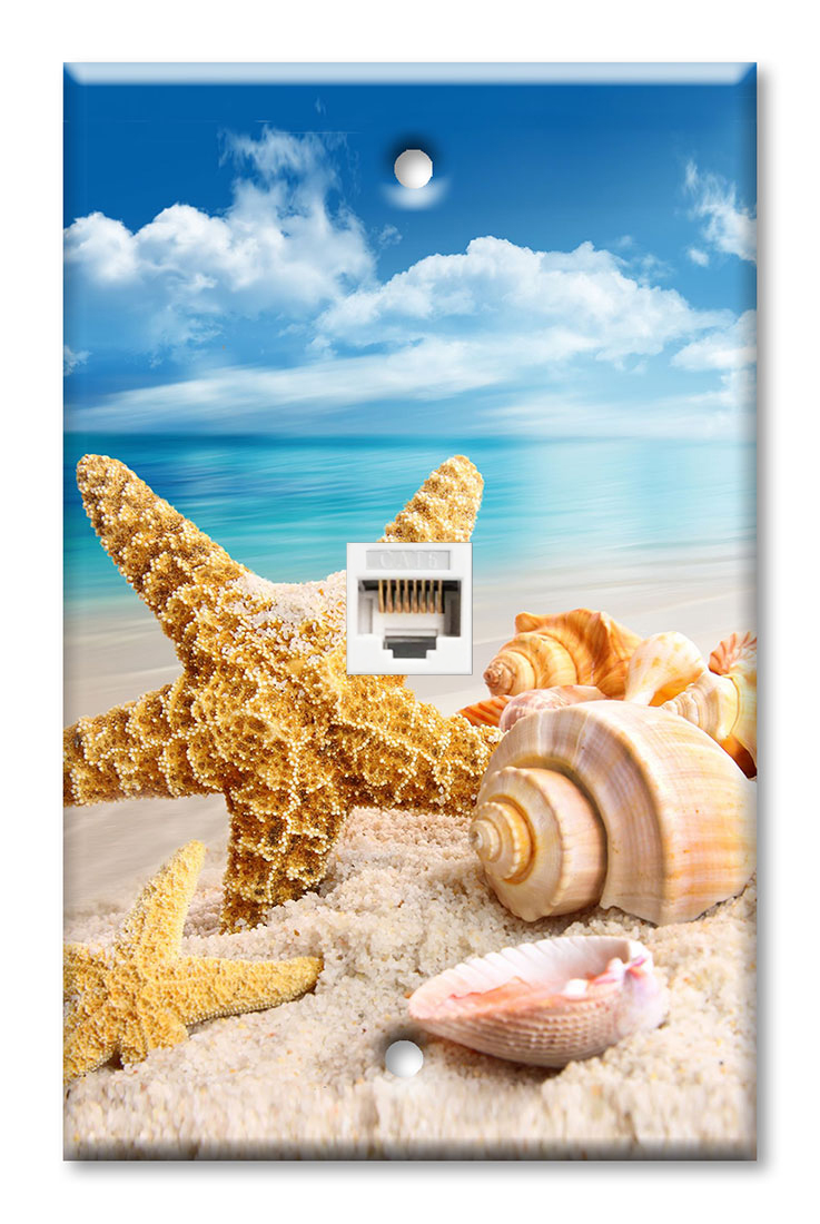 Sea Shells and Starfish on the Ocean Beach - #8775