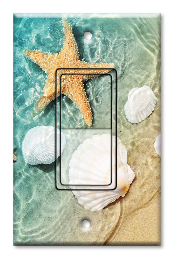 Sea Shells and Star Fish in Ocean Beach Tide Pool - #8777