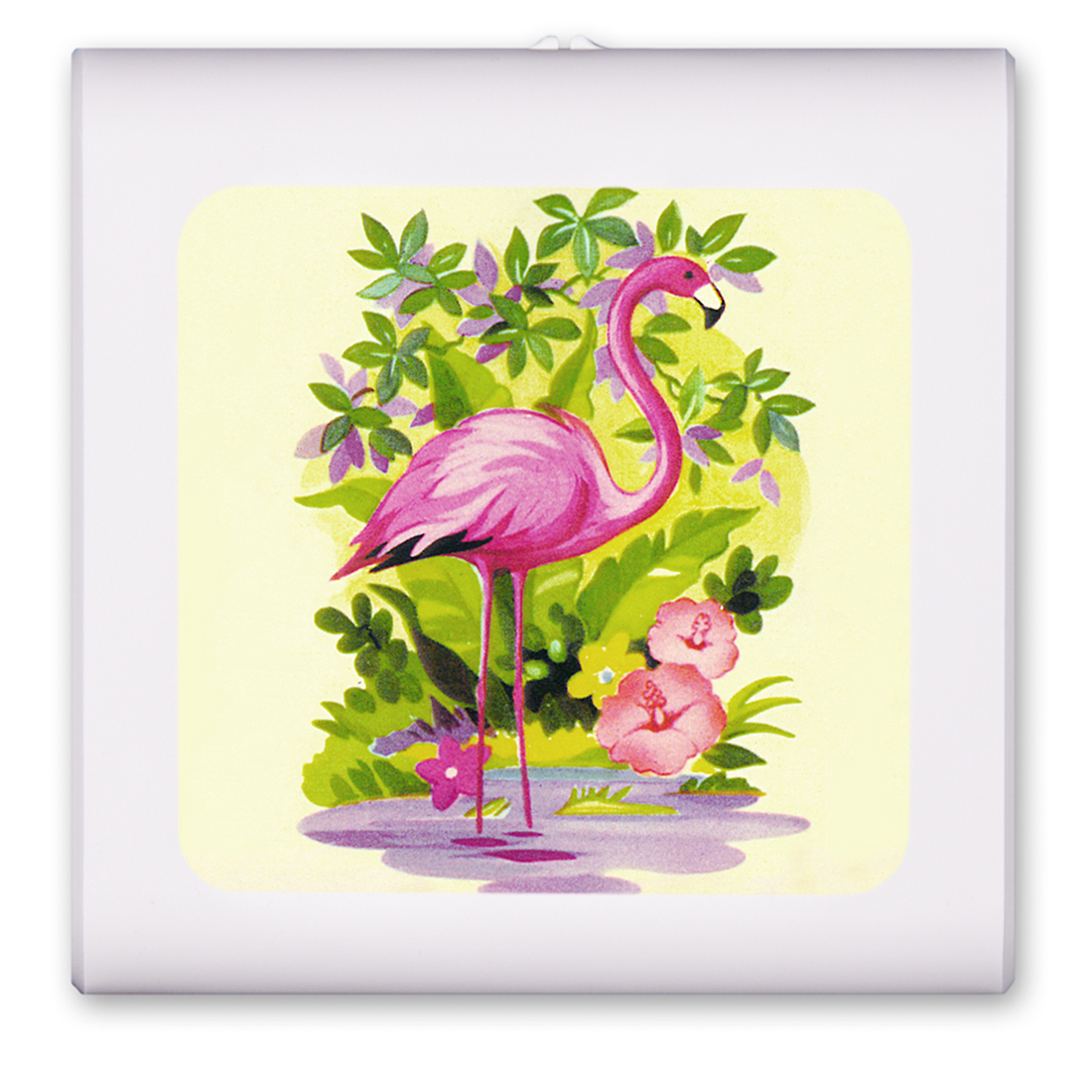 Flamingo - #88