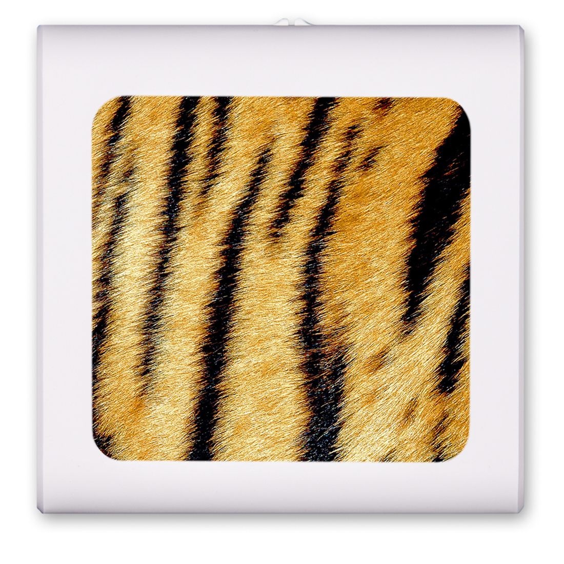 Tiger Fur - #881