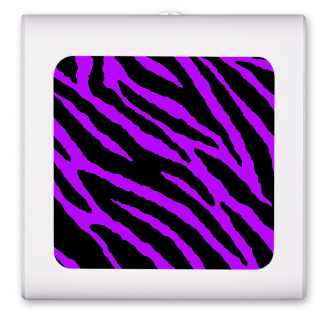 Purple Zebra - #886