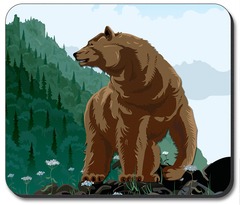 Mountain Bear - #892