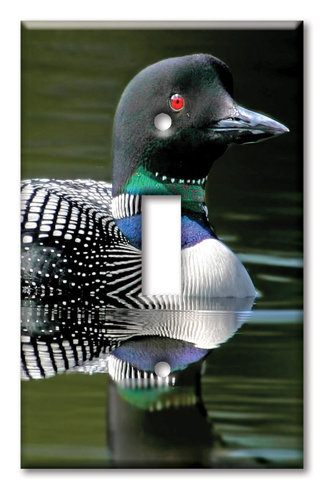 Art Plates - Decorative OVERSIZED Switch Plates & Outlet Covers - Loon