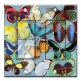 Printed 2 Gang Decora Switch - Outlet Combo with matching Wall Plate - Butterflies on Blue