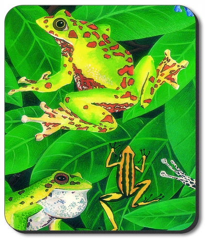 Frogs - #117