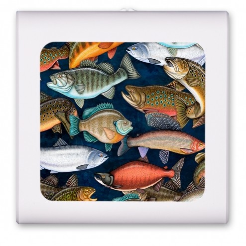 Fresh Water Fish - #1212