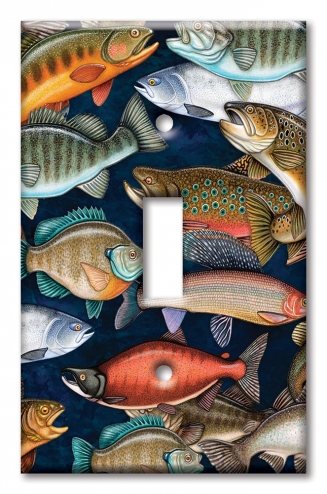 Fresh Water Fish - Image by Dan Morris - #1212