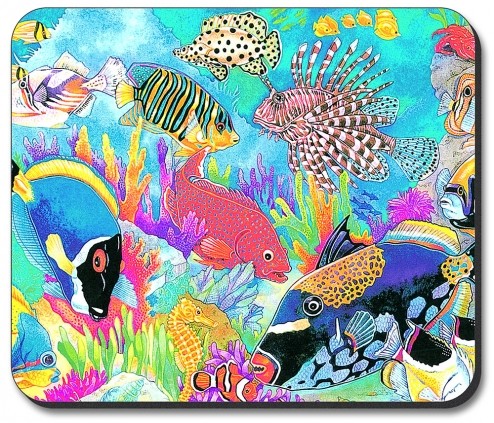 Coral Reef - #123