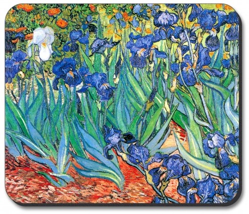 Van Gogh: Irises - #13