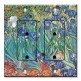 Printed 2 Gang Decora Duplex Receptacle Outlet with matching Wall Plate - Van Gogh: Irises