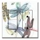 Printed 2 Gang Decora Switch - Outlet Combo with matching Wall Plate - Dragonflies