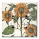 Printed 2 Gang Decora Duplex Receptacle Outlet with matching Wall Plate - Sunflowers