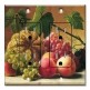Printed 2 Gang Decora Duplex Receptacle Outlet with matching Wall Plate - Hetzel: Fruit Still Life