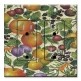 Printed 2 Gang Decora Duplex Receptacle Outlet with matching Wall Plate - Crackle Fruit