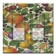 Printed Decora 2 Gang Rocker Style Switch with matching Wall Plate - Crackle Fruit