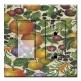 Printed 2 Gang Decora Switch - Outlet Combo with matching Wall Plate - Crackle Fruit