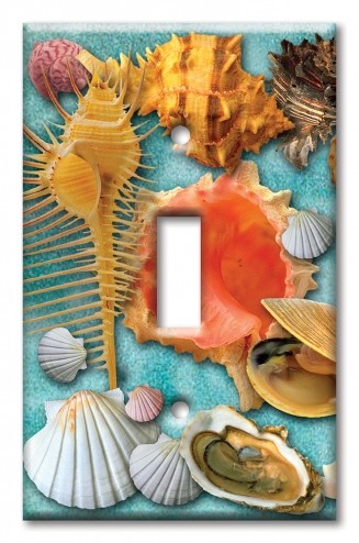 Art Plates - Decorative OVERSIZED Switch Plate - Outlet Cover - Seashells