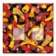 Printed Decora 2 Gang Rocker Style Switch with matching Wall Plate - Red and Yellow Peppers