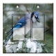 Printed Decora 2 Gang Rocker Style Switch with matching Wall Plate - Blue Bird