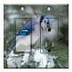 Printed 2 Gang Decora Switch - Outlet Combo with matching Wall Plate - Blue Bird