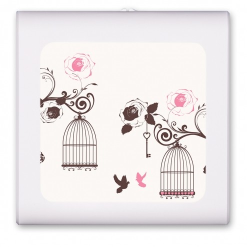 Bird Cages - #2542