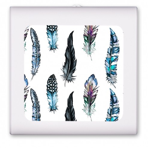 Feathers - #2543