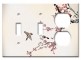 Combo: Toggle / Toggle / Outlet