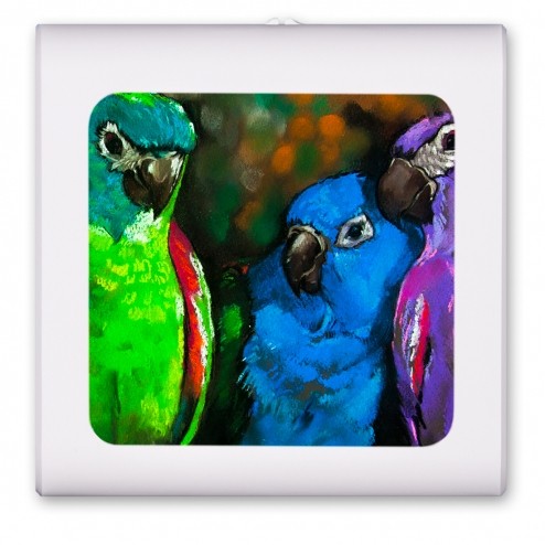 Parrot Painting - #2548