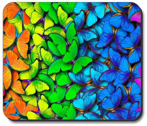 Rainbow Butterflies - #2559