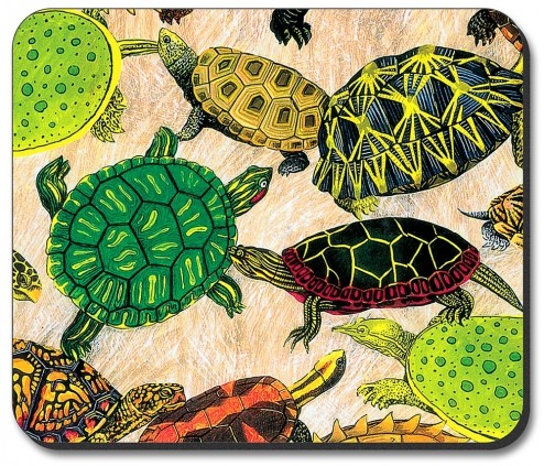 Turtles - #26