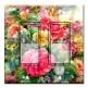 Printed Decora 2 Gang Rocker Style Switch with matching Wall Plate - Rose Painting