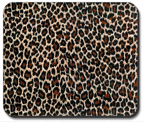 Leopard Print - #27