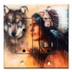 Printed 2 Gang Decora Duplex Receptacle Outlet with matching Wall Plate - Wolf and Indian Chief
