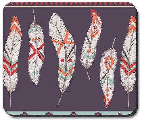 Native American Feathers - #2729