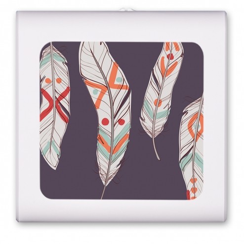 Native American Feathers - #2729