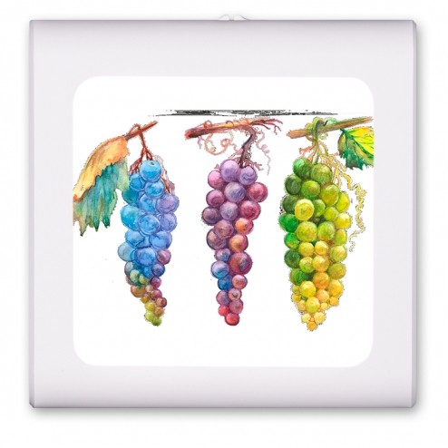 Watercolor Grapes - #2747