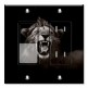 Printed 2 Gang Decora Switch - Outlet Combo with matching Wall Plate - Lion Roaring