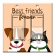 Printed Decora 2 Gang Rocker Style Switch with matching Wall Plate - Best Friends Forever - Cat and Dog